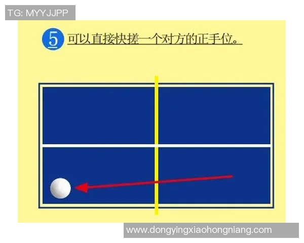 广州乒乓球队配合表现的数据分析与战术研究探讨