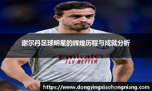 谢尔丹足球明星的辉煌历程与成就分析